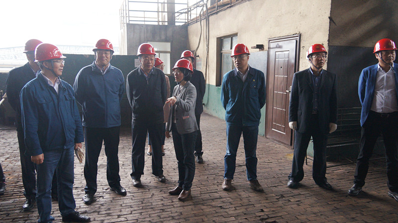 國家鋼鐵行業轉型升級調研組來淮鋼調研考察