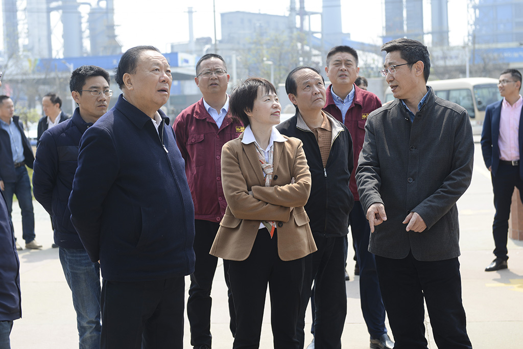 集團董事局主席沈文榮來淮鋼調研指導